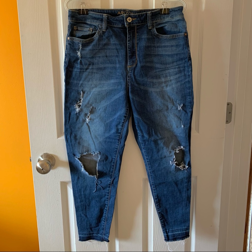 Arizona Jean Co. Blue Skinny Jeans